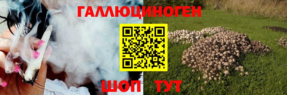 Дзержинск  Псилоцибиновые грибы ЛСД  даркнет сайт  Галлюциногенные грибы Cubensis  Вход с VPN 
